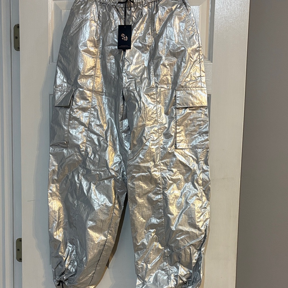 Sincerely Jules Silver Cargo Pants